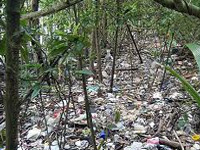 Efforts to combat plastics menace intensified