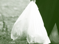 Month After Total Ban, Plastic Bags Still in Use