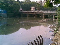 Suswa river of Dehradun highly toxic: Scientists