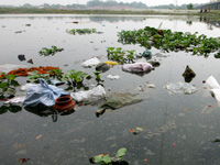 Panchayats along Mandovi to survey discharge of sewage into river