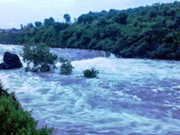 NGT, CPCB teams to collect river samples from Muzaffarnagar
