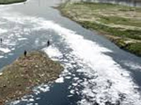 Periyar Pollution: NGT Seeks Status Report