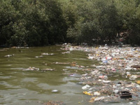Maharashtra govt to set up plant to treat polluted Mithi river