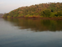 Coal from Maha barges polluting Tiracol river