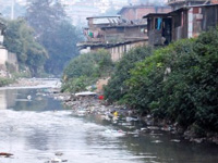 Demolish unauthorised structures, NGT tells MUDA