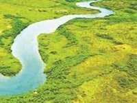 Drone used for plantation on the banks of Vishwamitri river