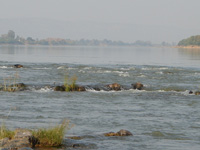 Narmada declared a ‘living entity’  