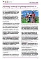 Understanding social equity and sustainability interactions in the Sustainable Development Goals: Gender differences in food security
