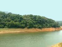 Focus on green cover to save Sagar, say experts