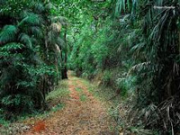 Street play on protecting ecology staged at Bondla