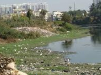 Clear encroachments around Sarakki lake within 6 weeks: HC