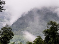 Hamid Ansari stresses on the conservation of ecosystem