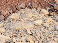 Distribution of soil health cards marks World Soil Day in Salem