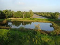 ZSI monitoring climate change impact on Sundarban animals