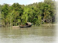 ZSI monitoring climate change impact on Sundarban animals 