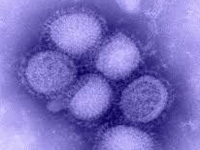 Two more persons from Karur district test positive for H1N1 influenza
