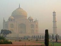 Agra: Insect attack on Taj brings back green and black patch on marble