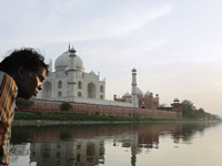 Taj discoloration: What to blame?