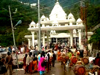 Vaishno Devi pilgrimage: NGT raps state over rehabilitation of mules