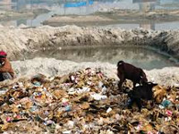 State has 3 weeks to file solid-waste report