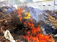 Anyone caught burning waste to be fined Rs 5,000:NGT