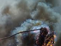 Plastic burning continues in Visakhapatnam