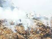 NGT restrains Vrindavan civic body from burning garbage