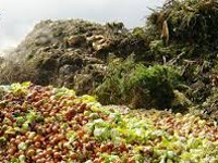 No trash enters landfills from these weddings