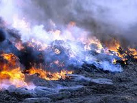 Waste burning: NMC fines society 5,000