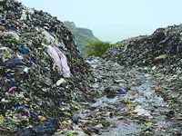 Submit status of new landfill sites for garbage disposal, says NGT