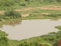 Tughlaqabad’s poison lake