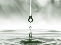 NGT seeks report on rain water harvesting