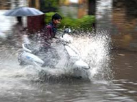 Inspect flyovers for installation of rainwater harvesting: NGT