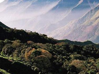 IISc Students Campaign for Western Ghats
