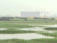 Kerala govt rolls back wetland reclamation nod