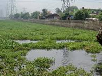 Charkop lake has more plastic than birds now