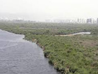 As crisis looms, give priority to reviving water bodies’