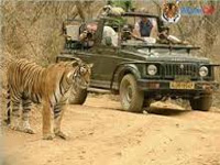 Eco-tourism at Sahyadri Tiger Reserve gets a boost