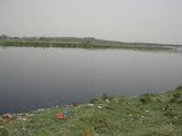 NGT set to issue orders on Yamuna restoration, storm water drains