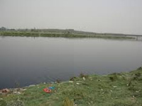 Clean Yamuna’ activist give Centre time to act