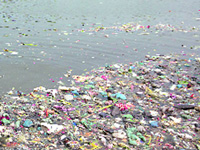 In the name of God and devotion: Is it really worth taking a dip in toxic Yamuna?