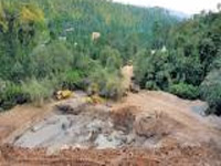 Yettinahole: NGT bars Karnataka from felling trees