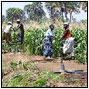 Role of Indigenous Knowledge in Climate Change Adaptation: A Case study of the  Teso Sub-Region, Eastern Uganda