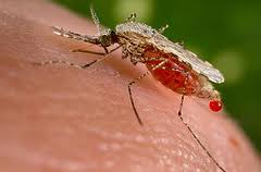 World malaria report 2011