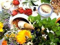 Database soon of medicinal plants, traditional healthcare