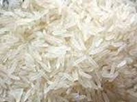 Scientists develop new Basmati breed