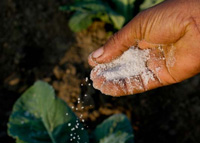 Fertilizer, fuel and food: win-win options for Bihar