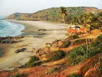 Beach constructions flout CRZ norms