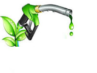 India should promote biofuel, public transport