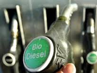 My Eco Energy launches its bio-fuel brand 'Indizel' at Rs 64 per liter